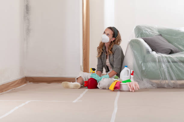 Reliable Mold Testing contractor in Royersford, PA by WQB Mold Removal